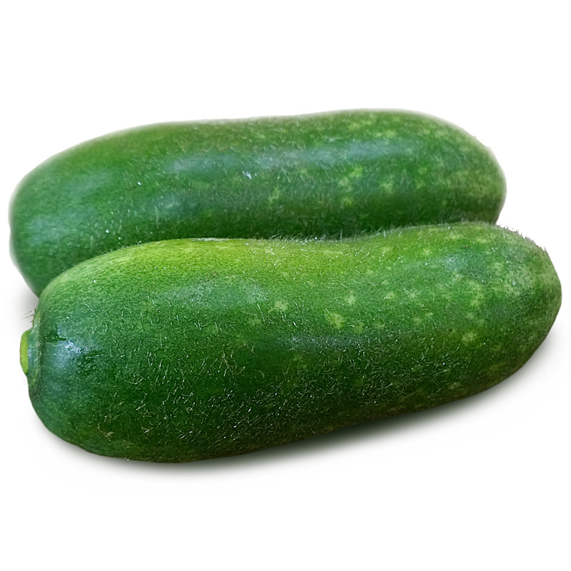 食材科普知识：冬瓜