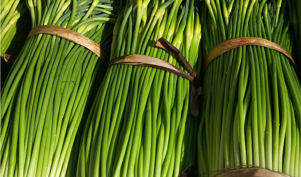 食材科普知识：蒜薹、蒜苗、大蒜完全不一样！