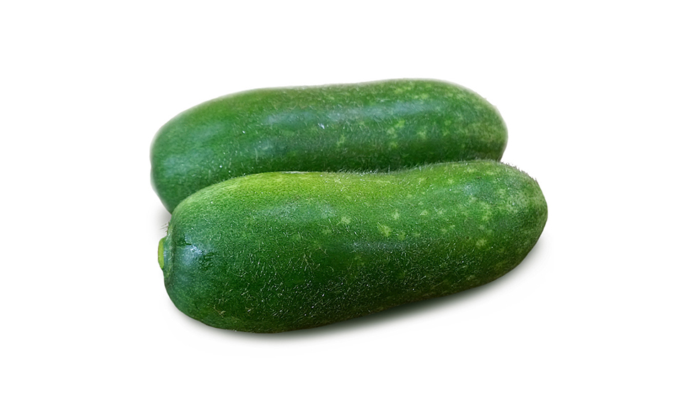 食材科普知识：冬瓜