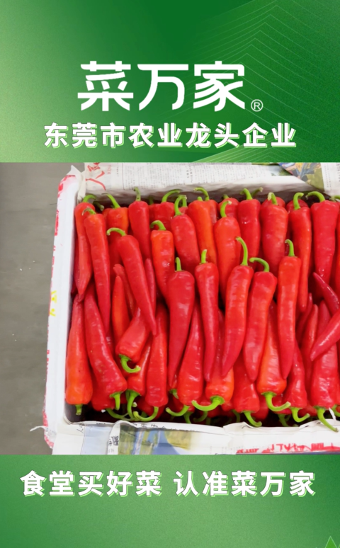 菜万家：食堂买好菜·认准菜万家