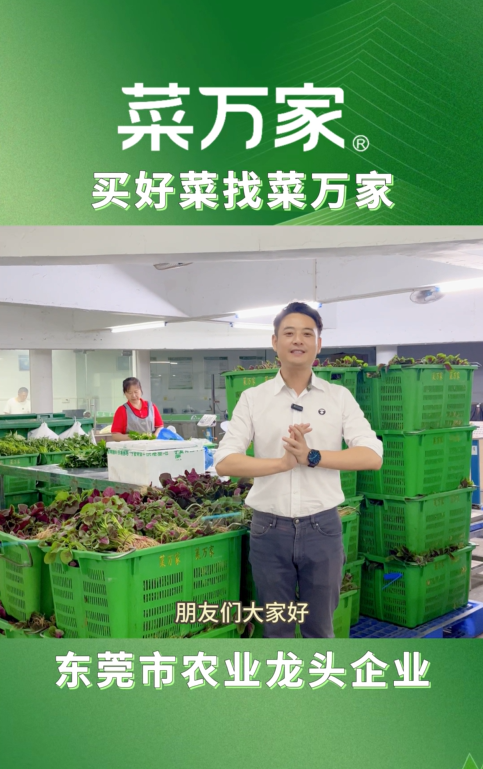 菜万家：苋菜科普