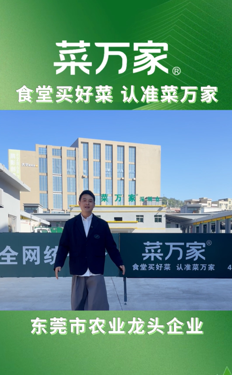 菜万家深圳仓布局