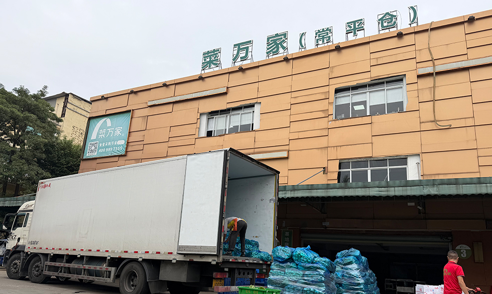 菜万家：山东基地鲜蔬，冷链锁鲜，直达食堂！