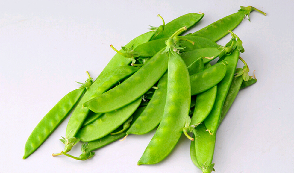 食材科普知识：荷兰豆