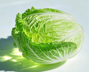 “作为制造业食堂，我们对食材供应的稳定性要求很高。菜万家的专车直送不仅时效准，而且全程封闭运输，食材没有二次污染，让我们的员工吃得更放心。