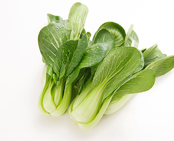 “我们公司规模不大，但菜万家的配送服务一点不打折扣，哪怕是小批量订单也能专车准时送达，食材品质稳定，省去了我们采购的很多麻烦。”