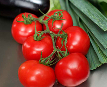 “我们在市区有 5 个合作食堂，菜万家的专车配载规划很合理，能按每个食堂的需求精准配送，时效稳定，成本也比之前优化了不少。”