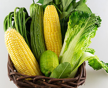 “技师学院有近 2000 名学生，早餐对时效要求极高。菜万家的专车每天早 7 点前必到，蔬菜和面点食材新鲜度拉满，从未耽误过早餐供应，学生和老师都很满意。”