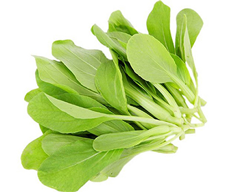 “我们有 8 家快餐门店，对食材的标准化和时效要求很高。菜万家的专车能按每个门店的早高峰需求精准配货，食材新鲜稳定，让我们的出餐效率提升了 15%，成本也更可控。”