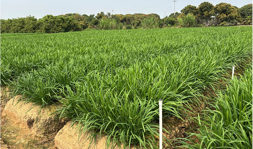 菜万家：食堂采购，拒绝回扣！